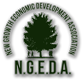 NGEDA